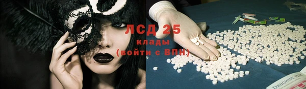 спайс Аркадак