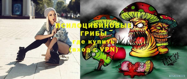 спайс Аркадак