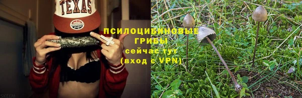 спайс Аркадак