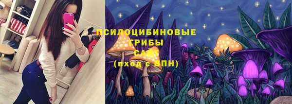 спайс Аркадак
