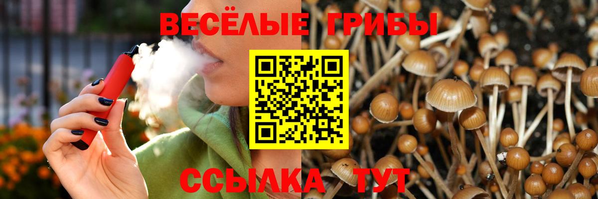 Асбест  Псилоцибиновые грибы Magic Shrooms  Вход с VPN  Псилоцибиновые грибы Magic Shrooms 